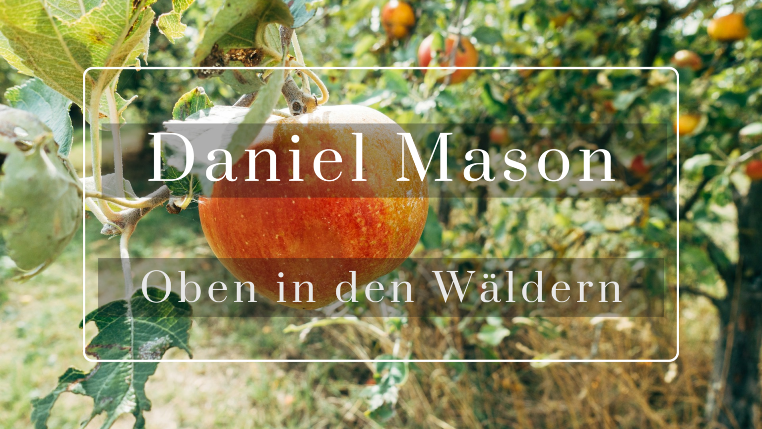 Daniel Mason - Oben in den Wäldern - Buch-Haltung